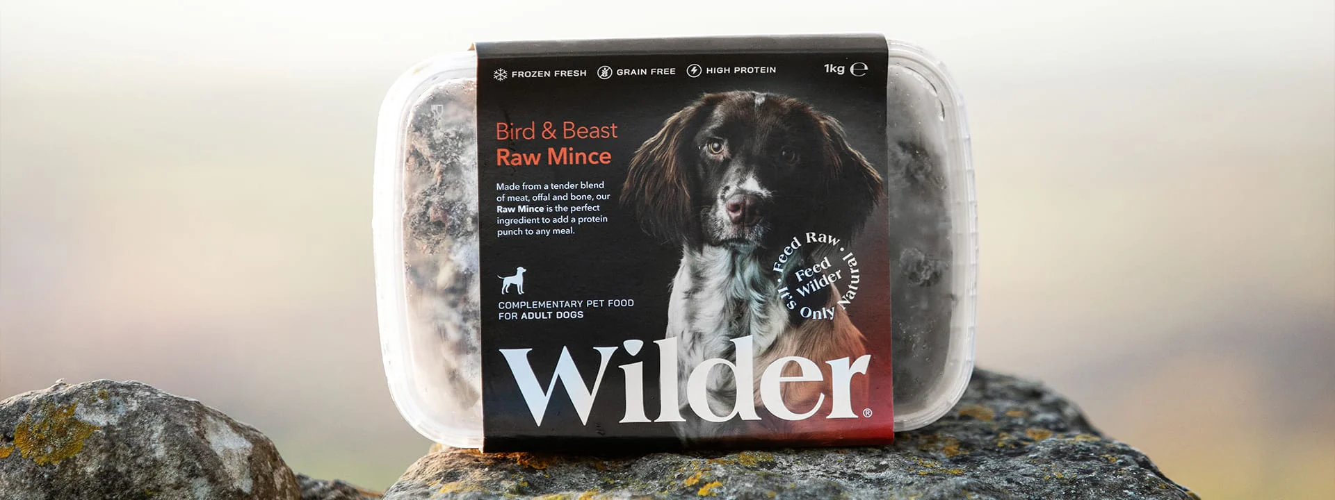 Style Your Furry Best Friend